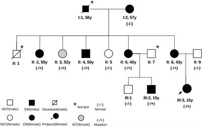 Case Report: A Novel ABCC8 Variant in a Chinese Pedigree of Maturity-Onset Diabetes of the Young